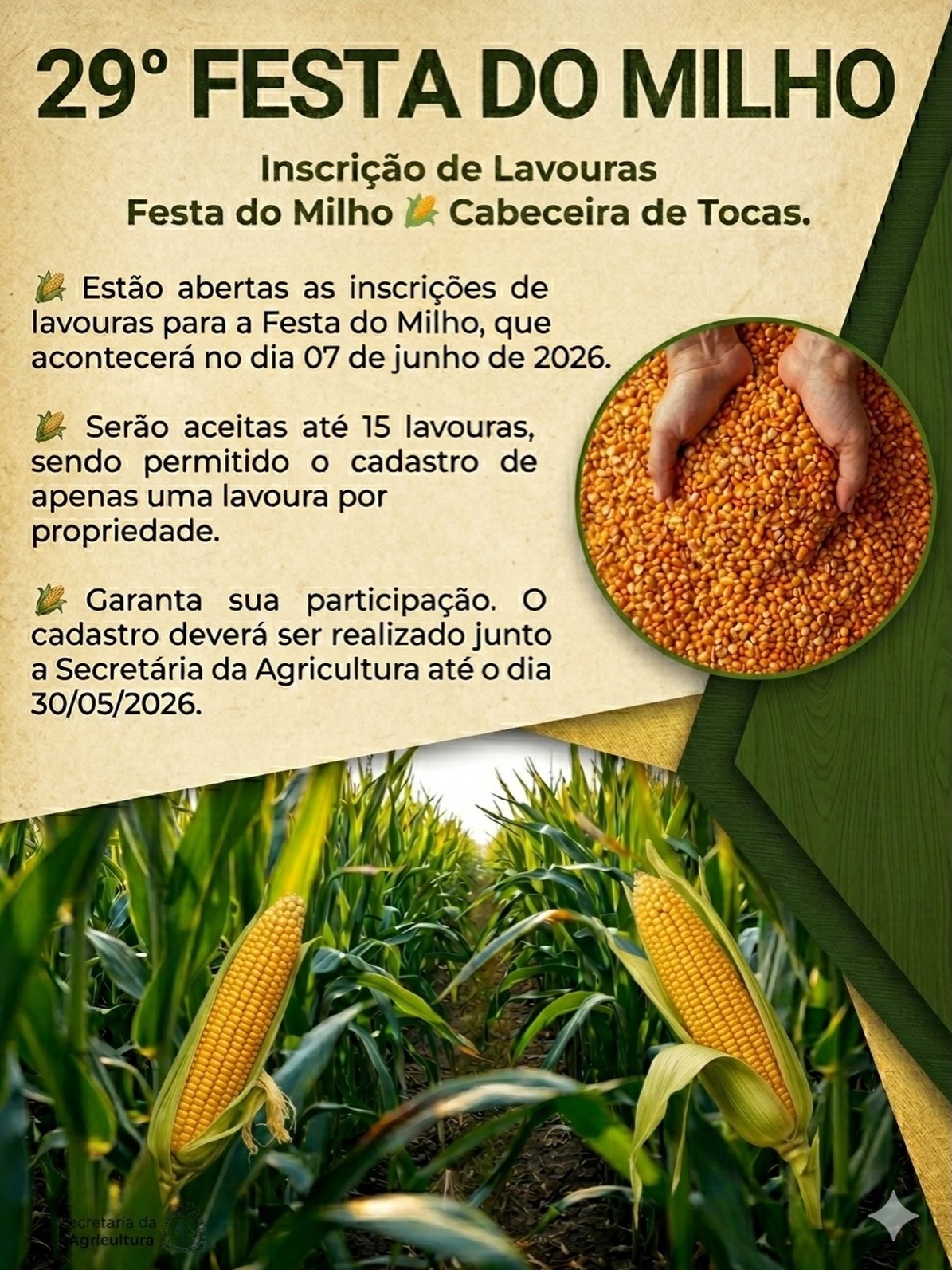 29ª FESTA DO MILHO EM CABECEIRA DE TOCAS: 