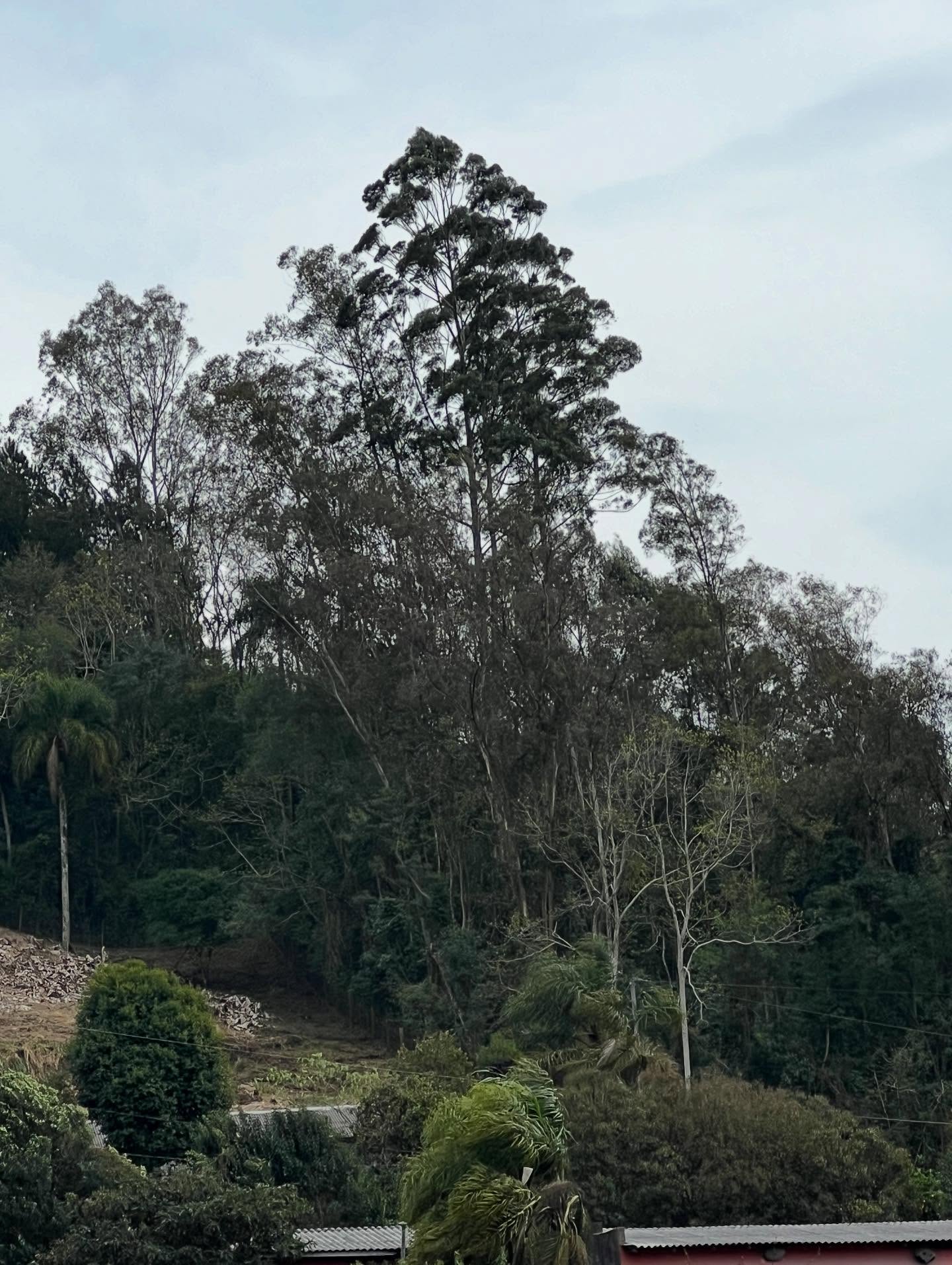 CICLONE EXTRATROPICAL DEVE TRAZER MUDANÇA NO TEMPO