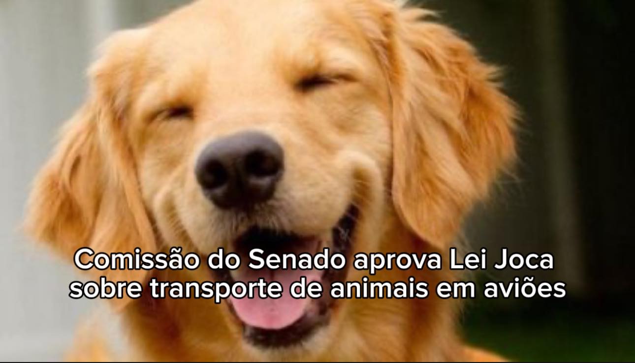 Geral  
