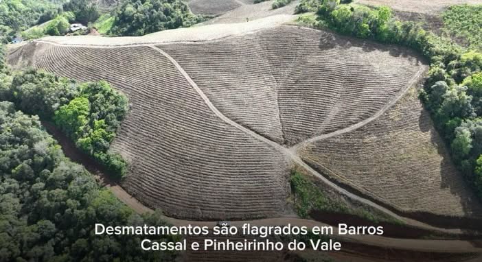 Desmatamentos são flagrados em Barros Cassal e Pinheirinho do Vale