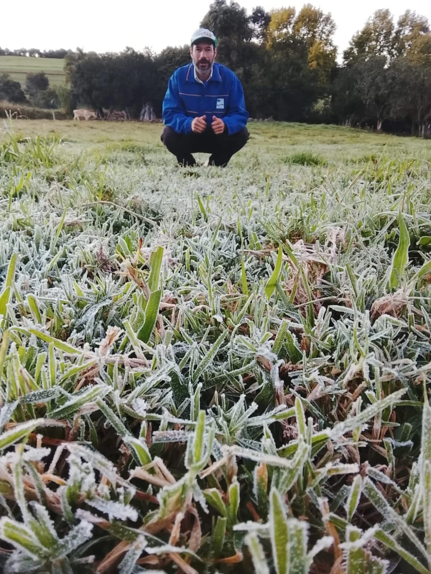 Geada e Frio Intenso marcam o Amanhecer na Região Sul