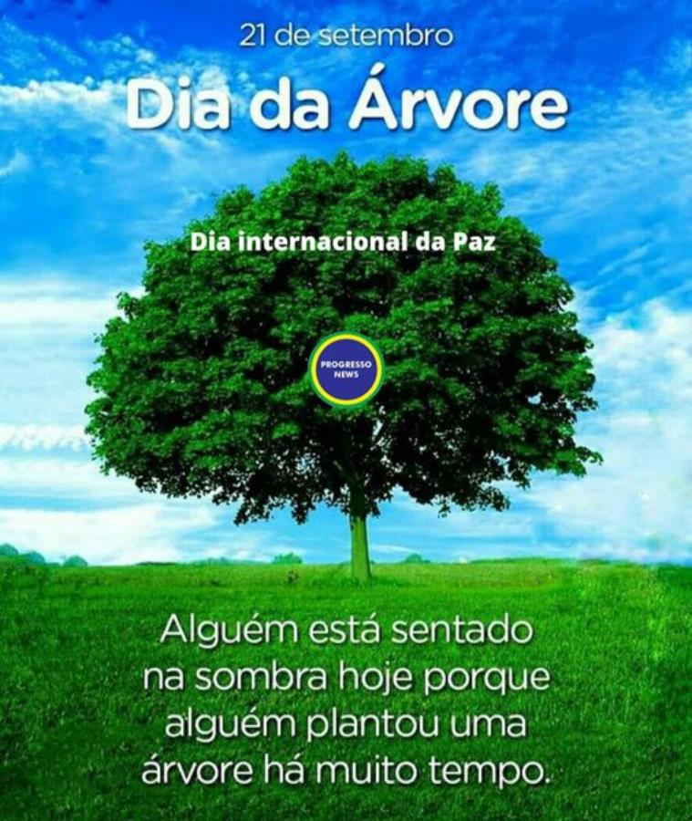 Geral  