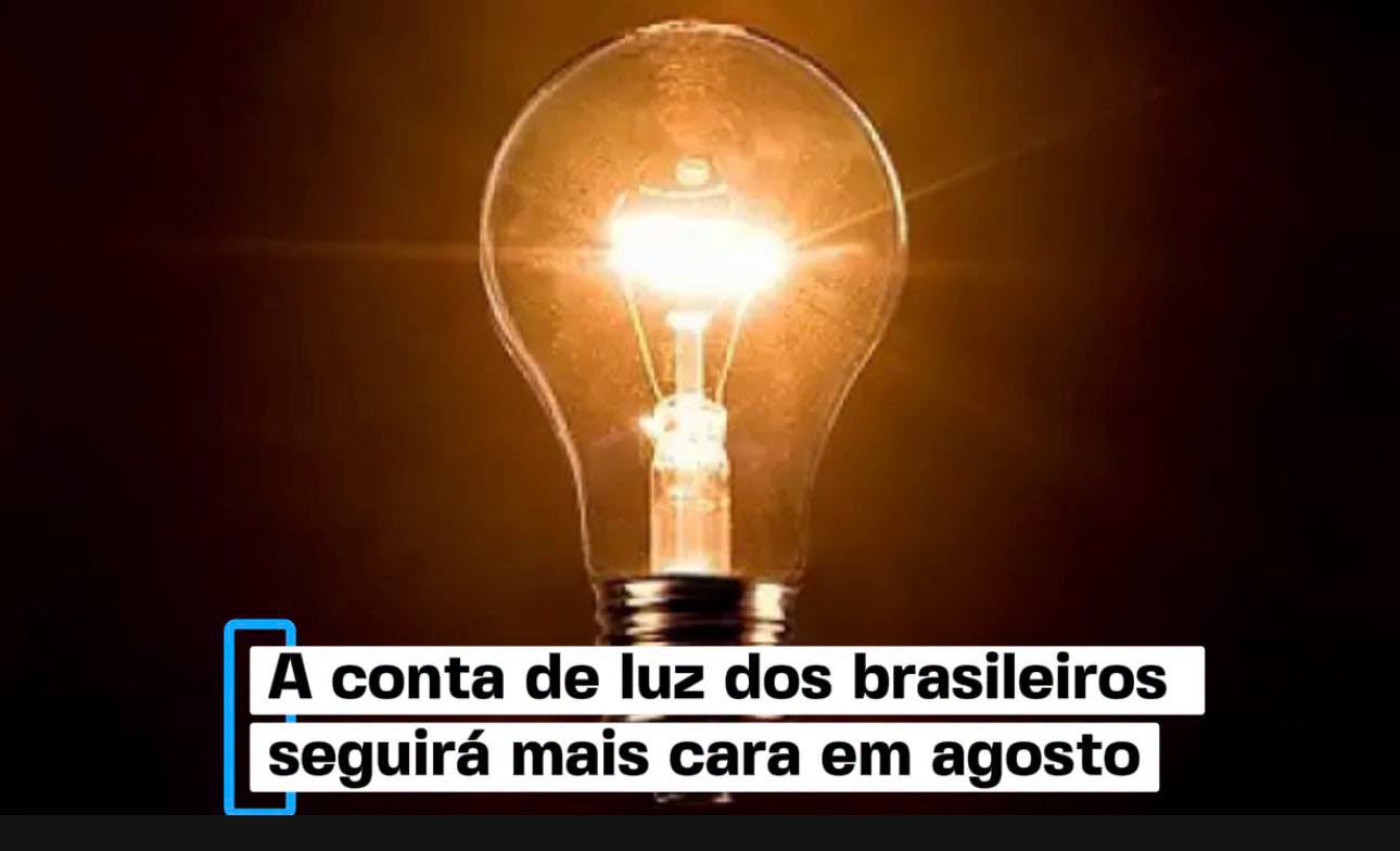 Preço dos ovos cai até 15% em julho com demanda mais fraca