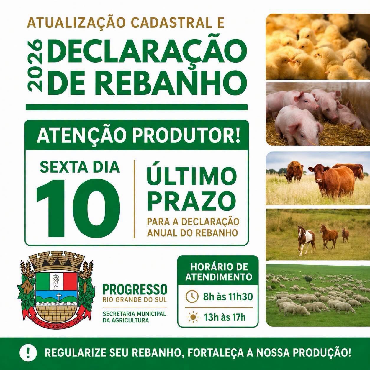 Produtores que não fizerem a declaração anual do rebanho podem ter a propriedade interditada 