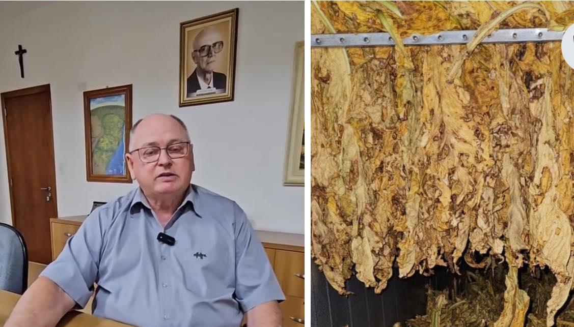 Rodada de reuniões sobre preço do tabaco termina sem acordo