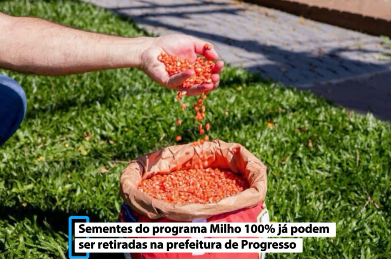 Sementes do programa Milho 100% já podem ser retiradas na prefeitura de Progresso