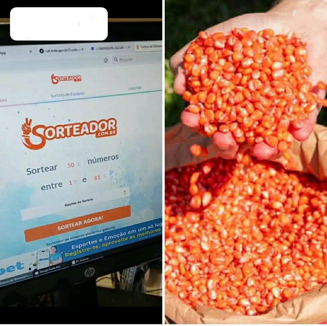 Sorteio define produtores contemplados com sementes de milho gratuitas
